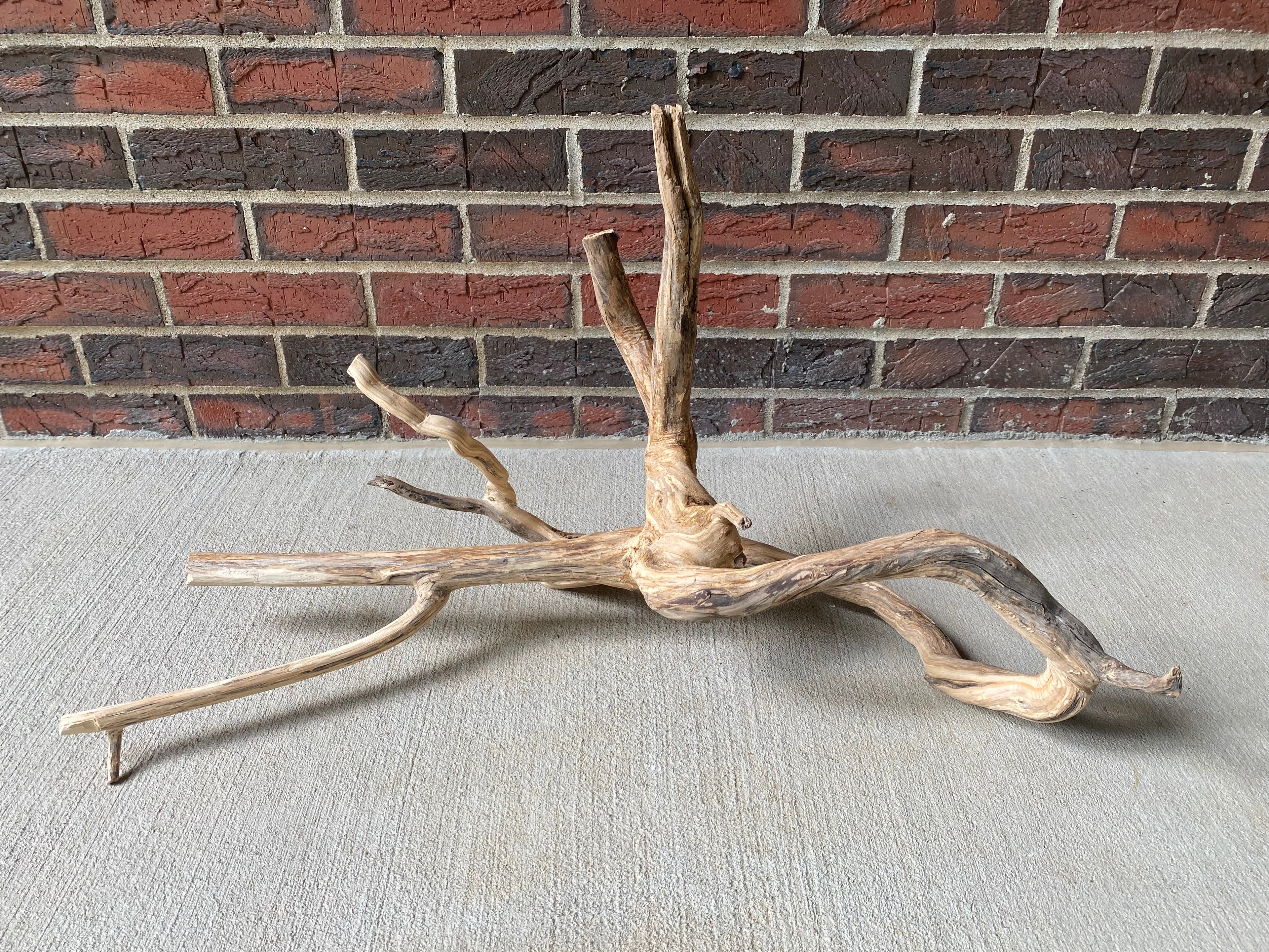 Natural Honeysuckle - Reptile or Aquatic Accessory - H000001
