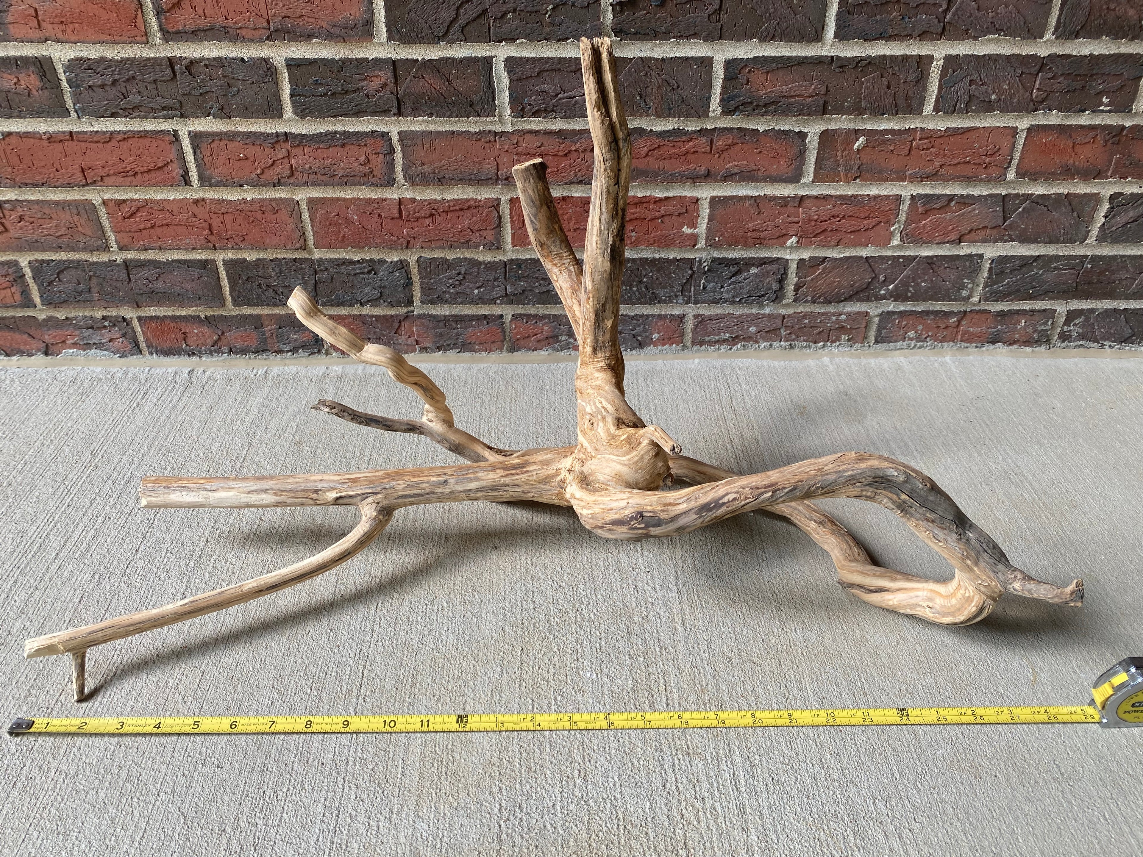 Natural Honeysuckle - Reptile or Aquatic Accessory - H000001