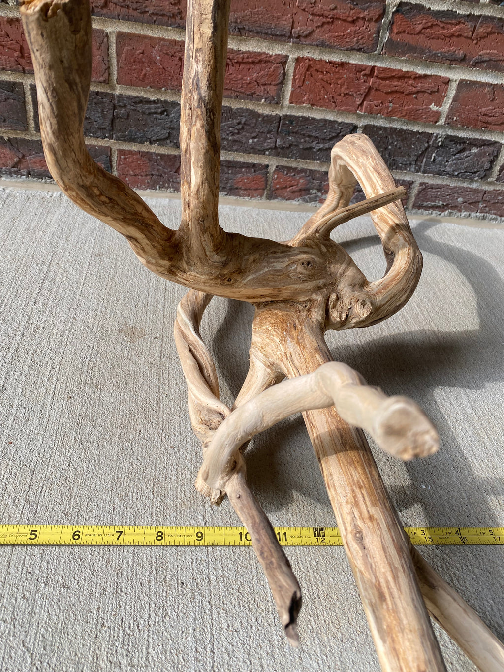 Natural Honeysuckle - Reptile or Aquatic Accessory - H000001