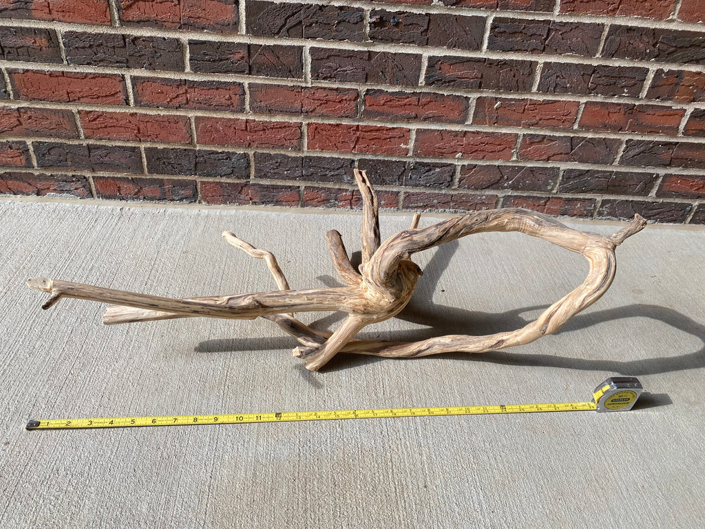 Natural Honeysuckle - Reptile or Aquatic Accessory - H000001