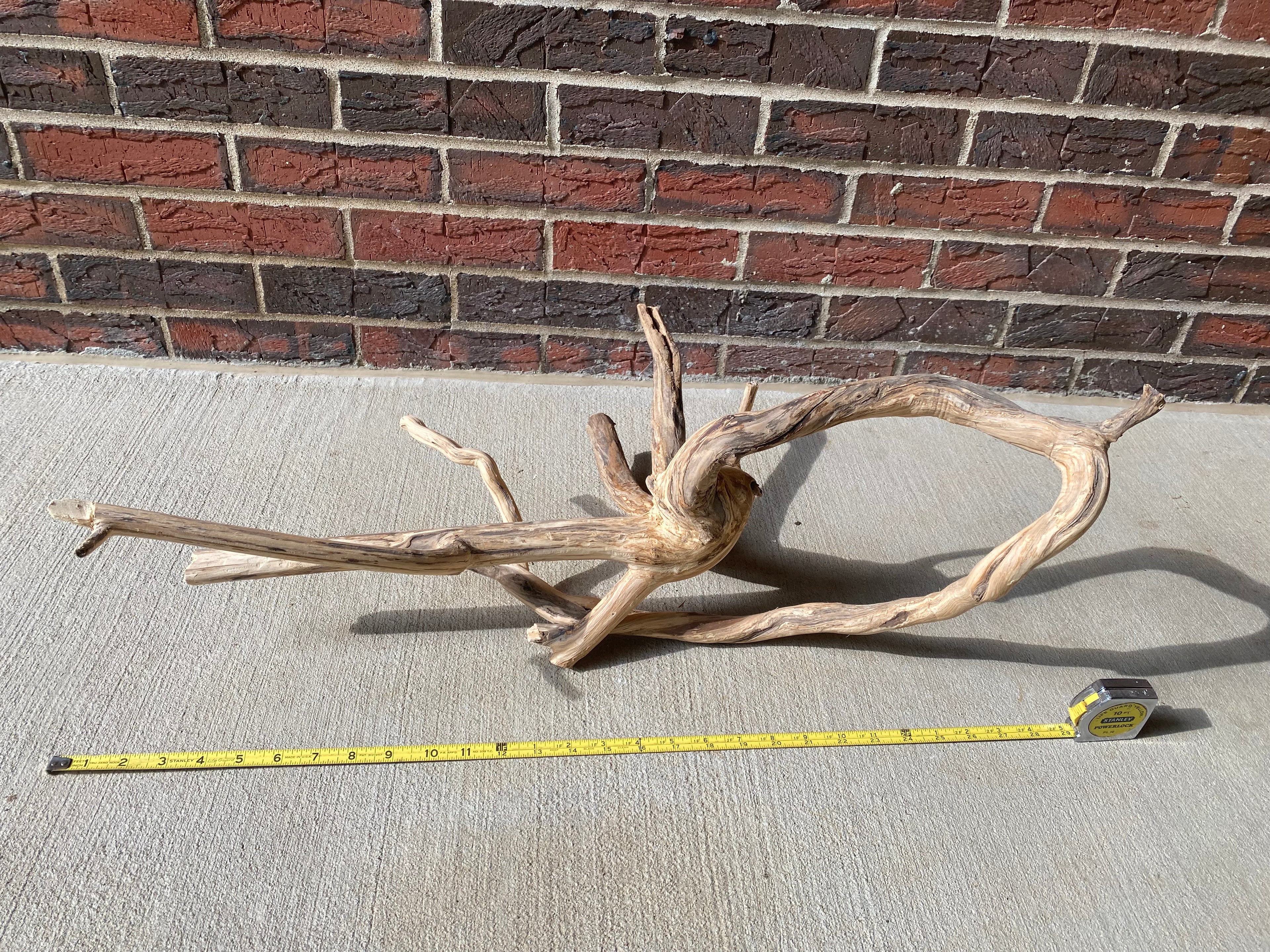 Natural Honeysuckle - Reptile or Aquatic Accessory - H000001
