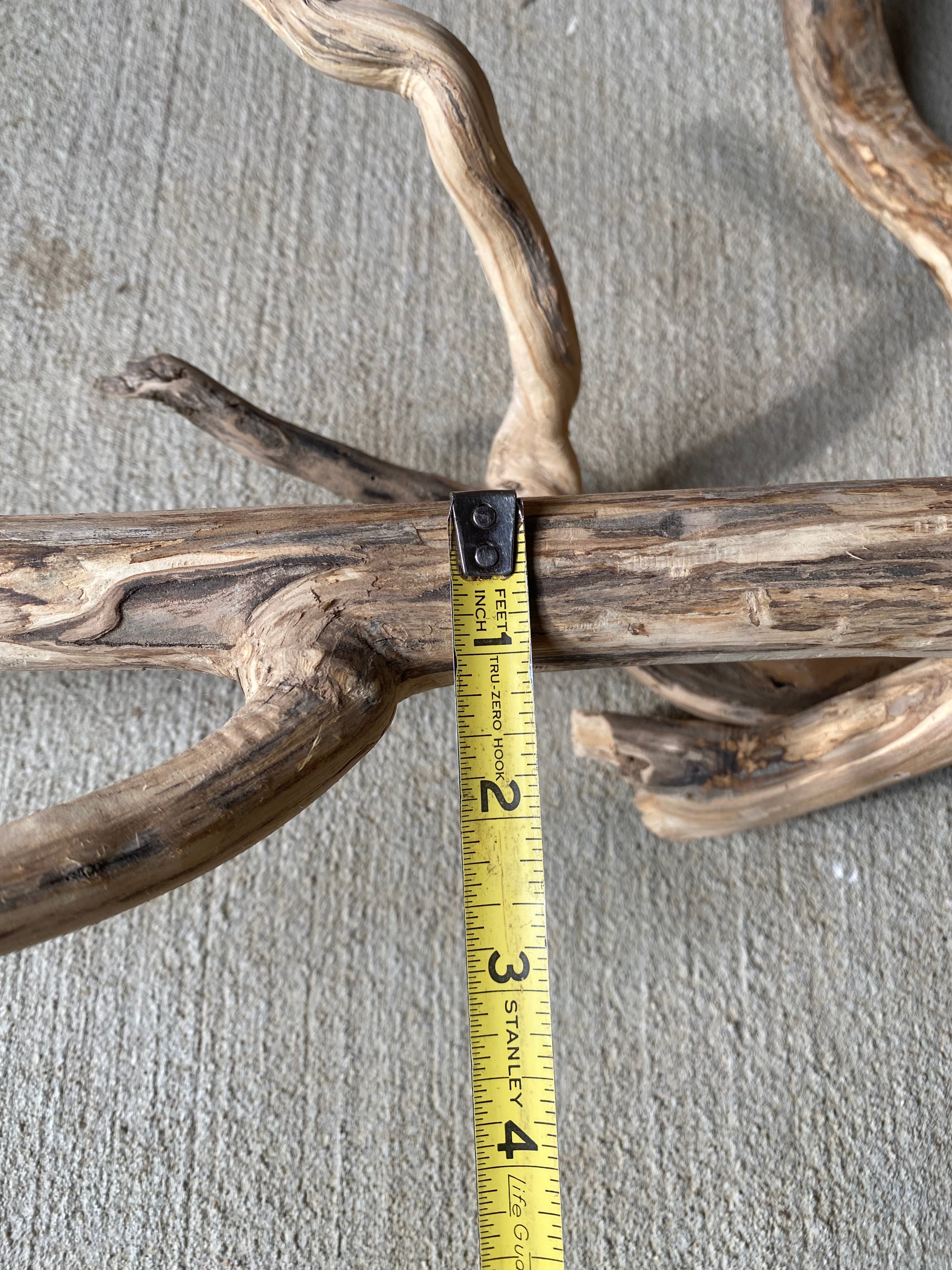 Natural Honeysuckle - Reptile or Aquatic Accessory - H000001