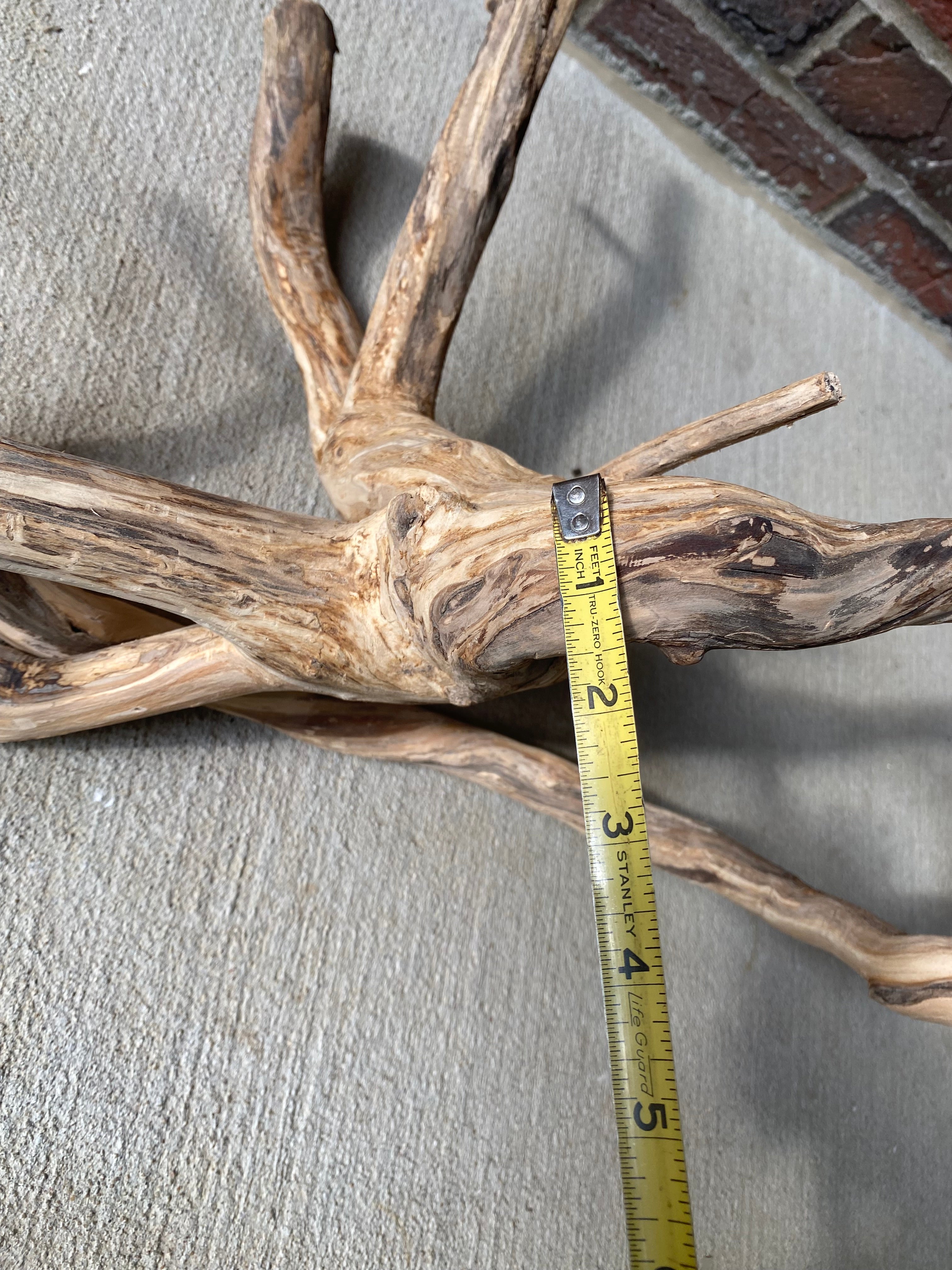 Natural Honeysuckle - Reptile or Aquatic Accessory - H000001