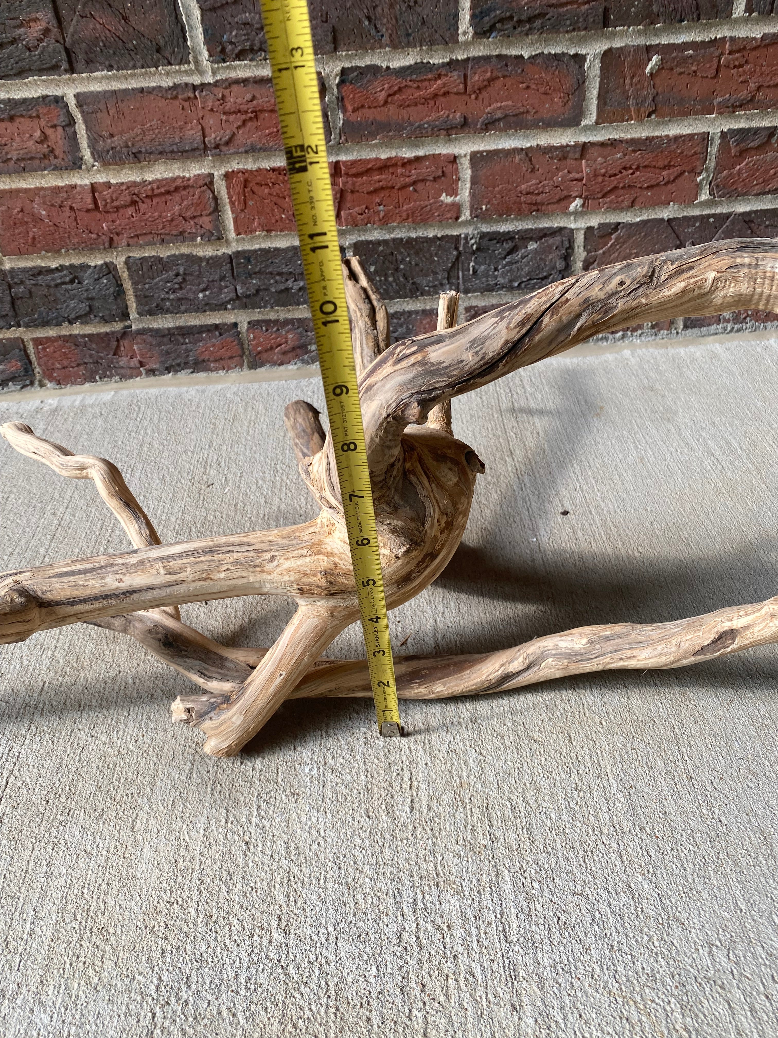 Natural Honeysuckle - Reptile or Aquatic Accessory - H000001