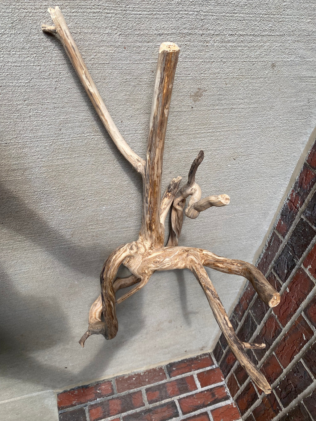 Natural Honeysuckle - Reptile or Aquatic Accessory - H000001