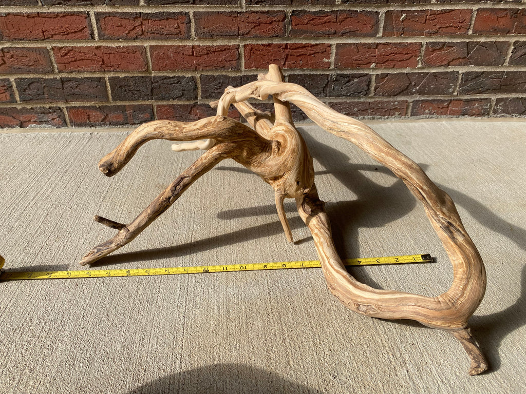 Natural Honeysuckle - Reptile or Aquatic Accessory - H000001