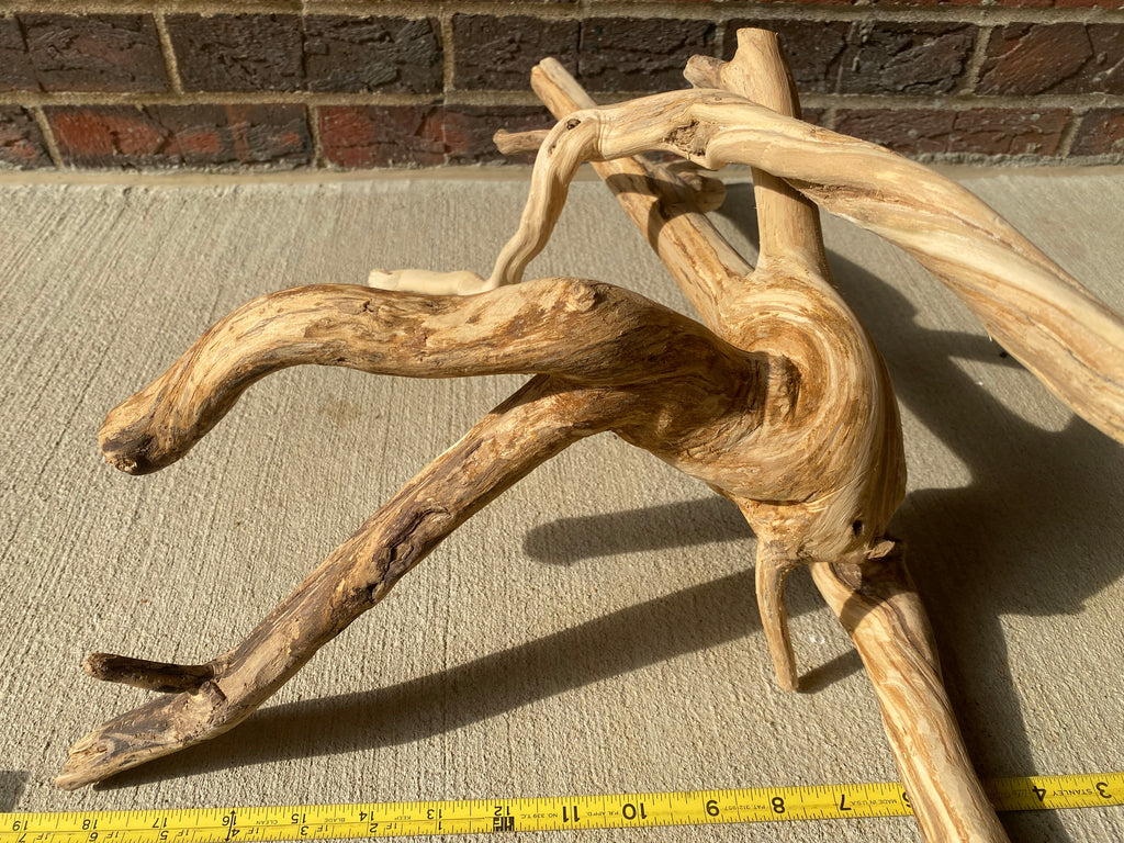 Natural Honeysuckle - Reptile or Aquatic Accessory - H000001