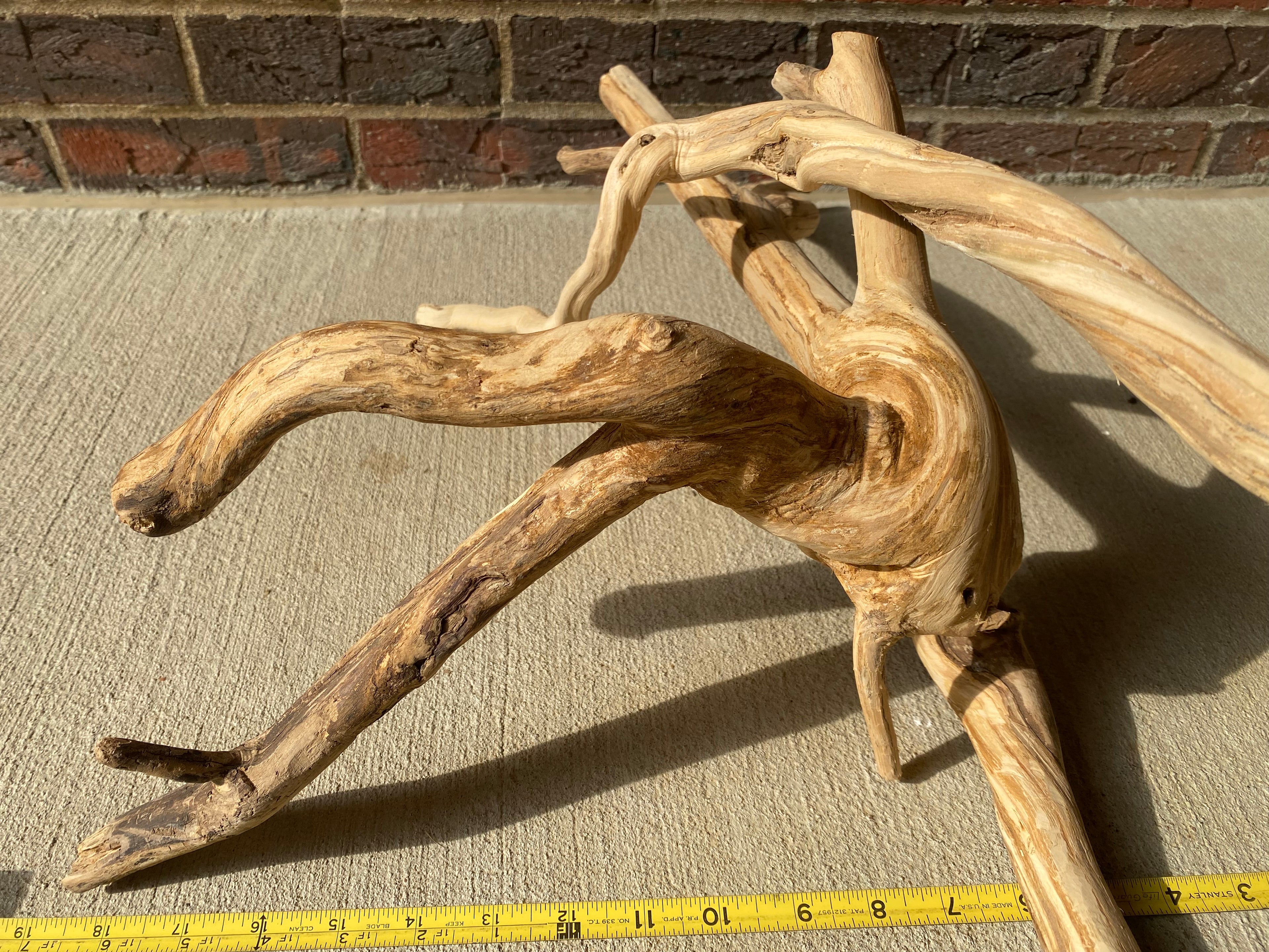 Natural Honeysuckle - Reptile or Aquatic Accessory - H000001