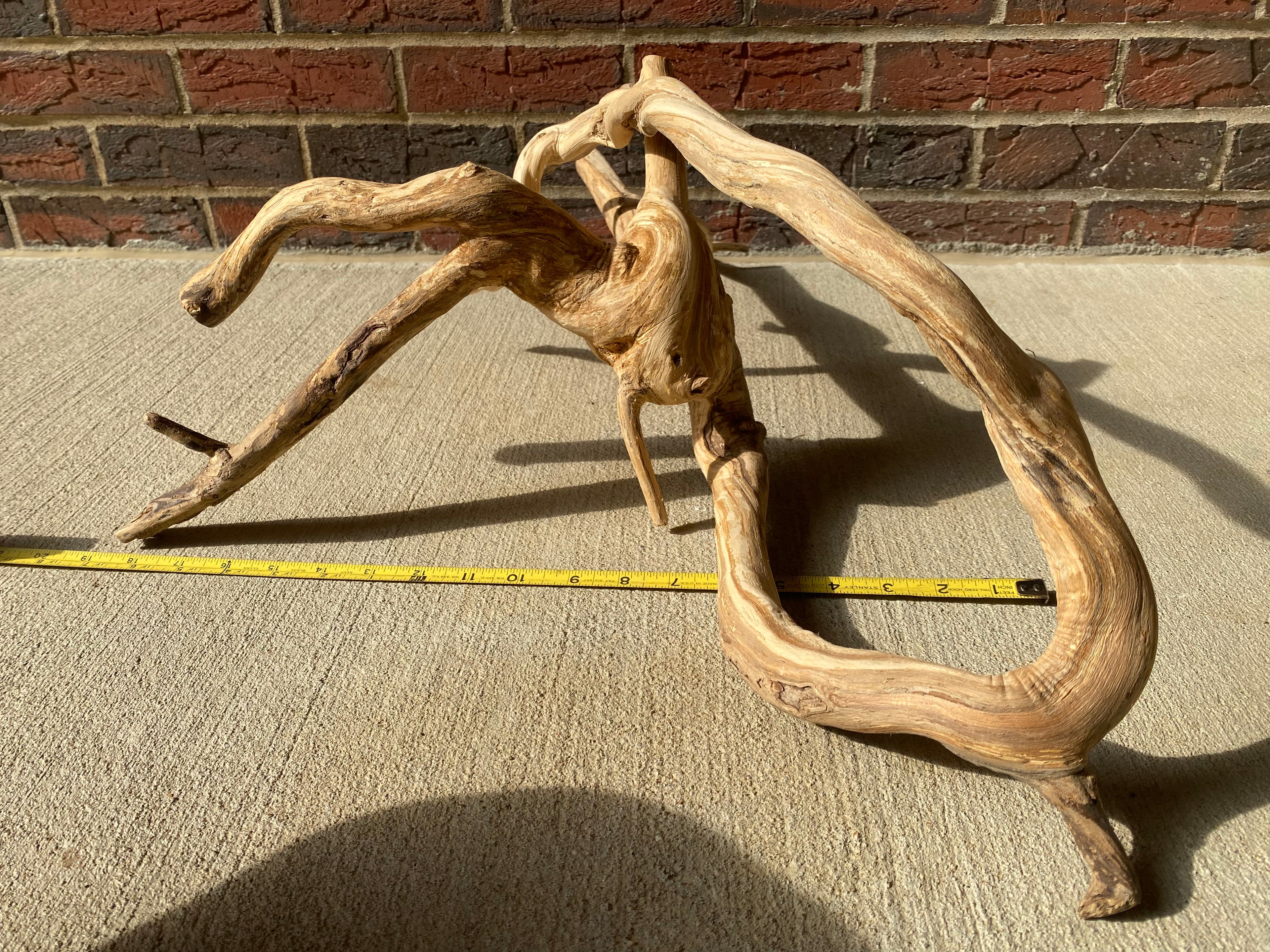 Natural Honeysuckle - Reptile or Aquatic Accessory - H000001