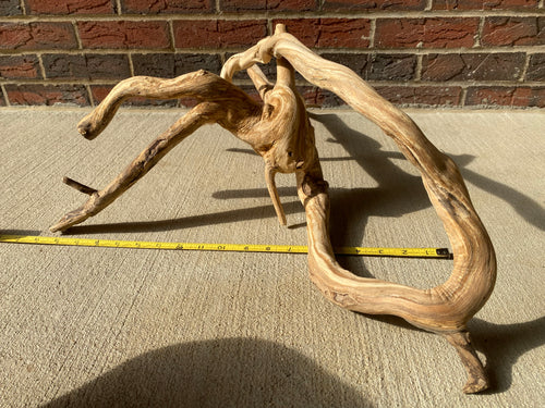 Natural Honeysuckle - Reptile or Aquatic Accessory - H000001